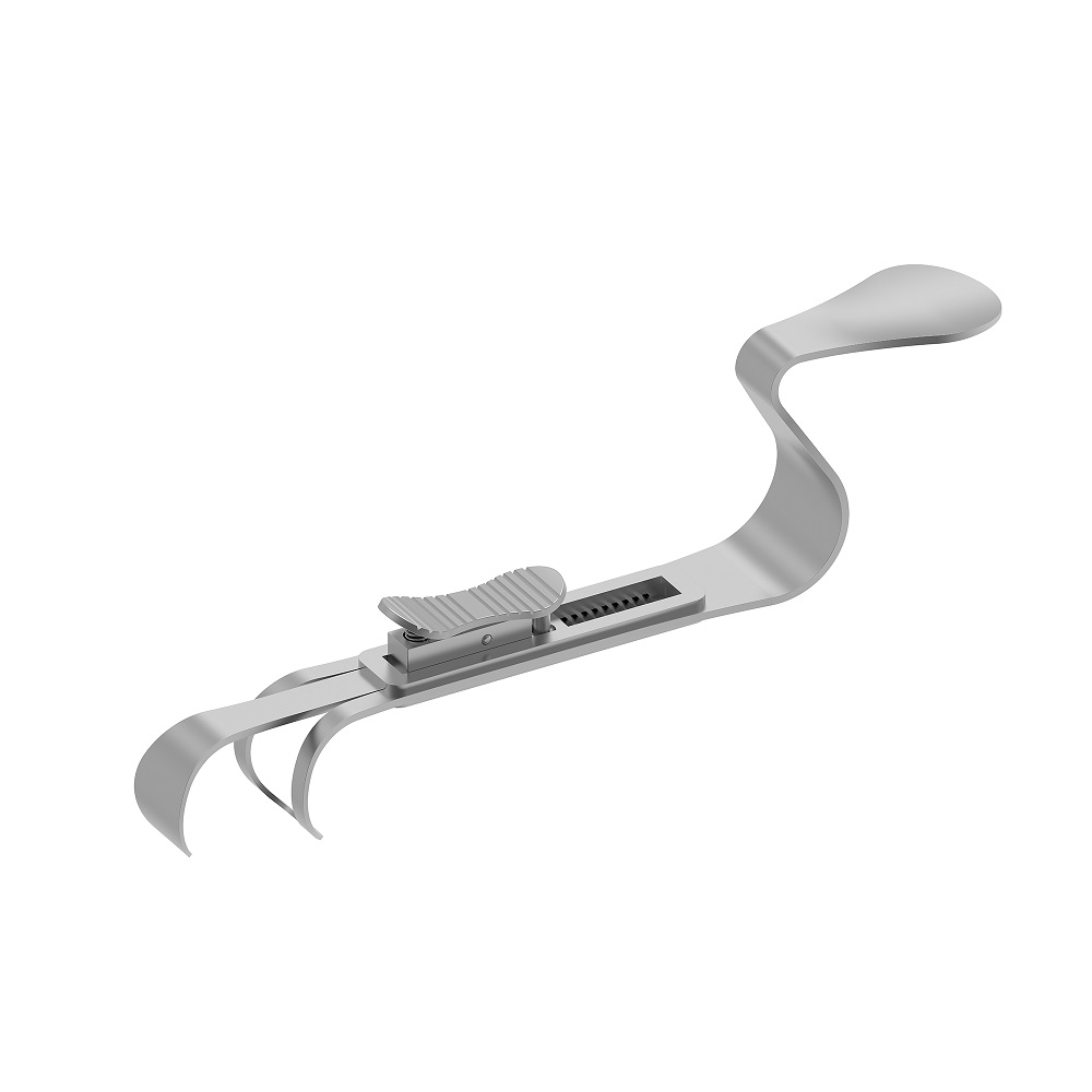 Wanghouder Double Hook St