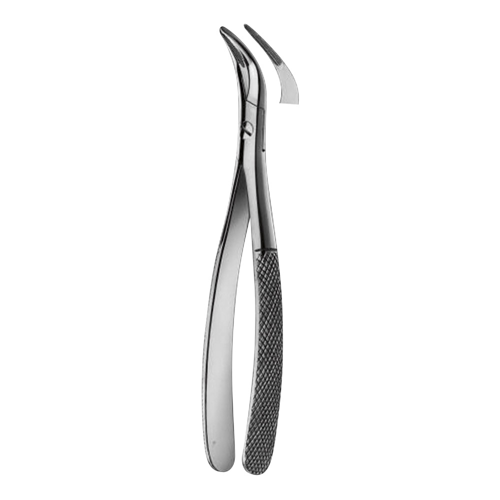 Wortelspateltang Witzel figuur 407 groot model VK wortel, stuk