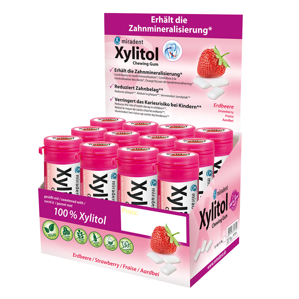 Xylitol Gum Kids Erdb. 12er Displ.