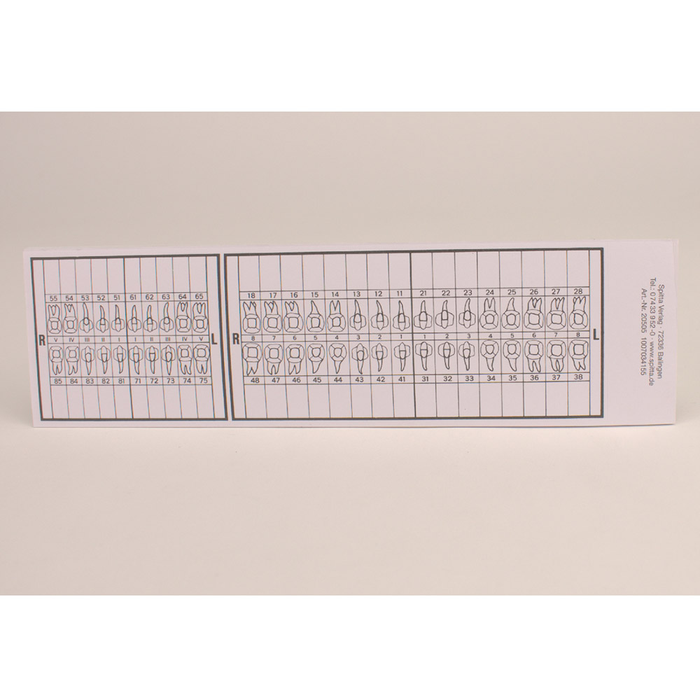 Tandenschema voor A4 + A5 zelfklevend, 25 stuks