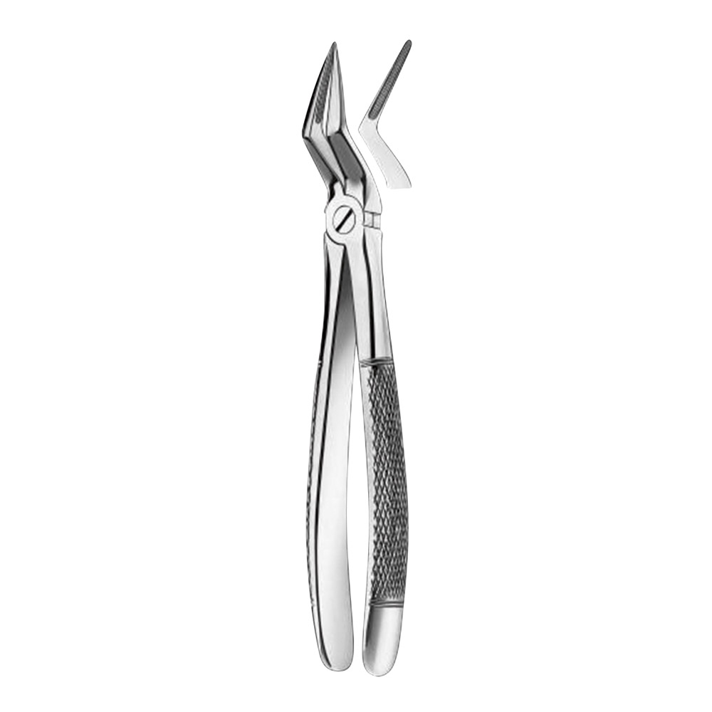 Tandtang Figuur 51 1/2 OK Wortel, stuk