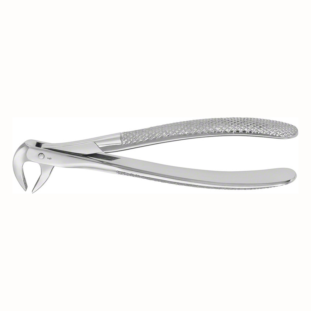 Tandtang Anatomica Büchs Figuur 74 UK Wortel, stuk