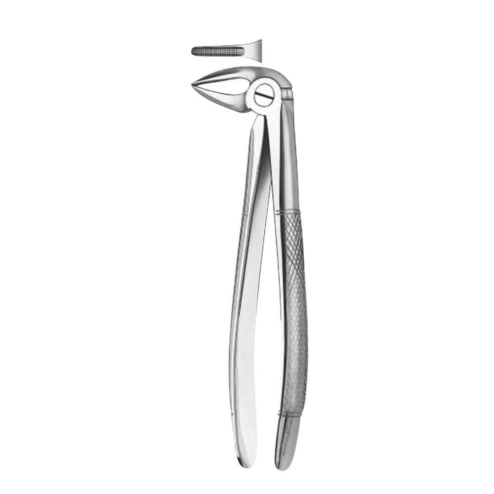 Tandtang Figuur 33 1/2 UK Wortel, stuk