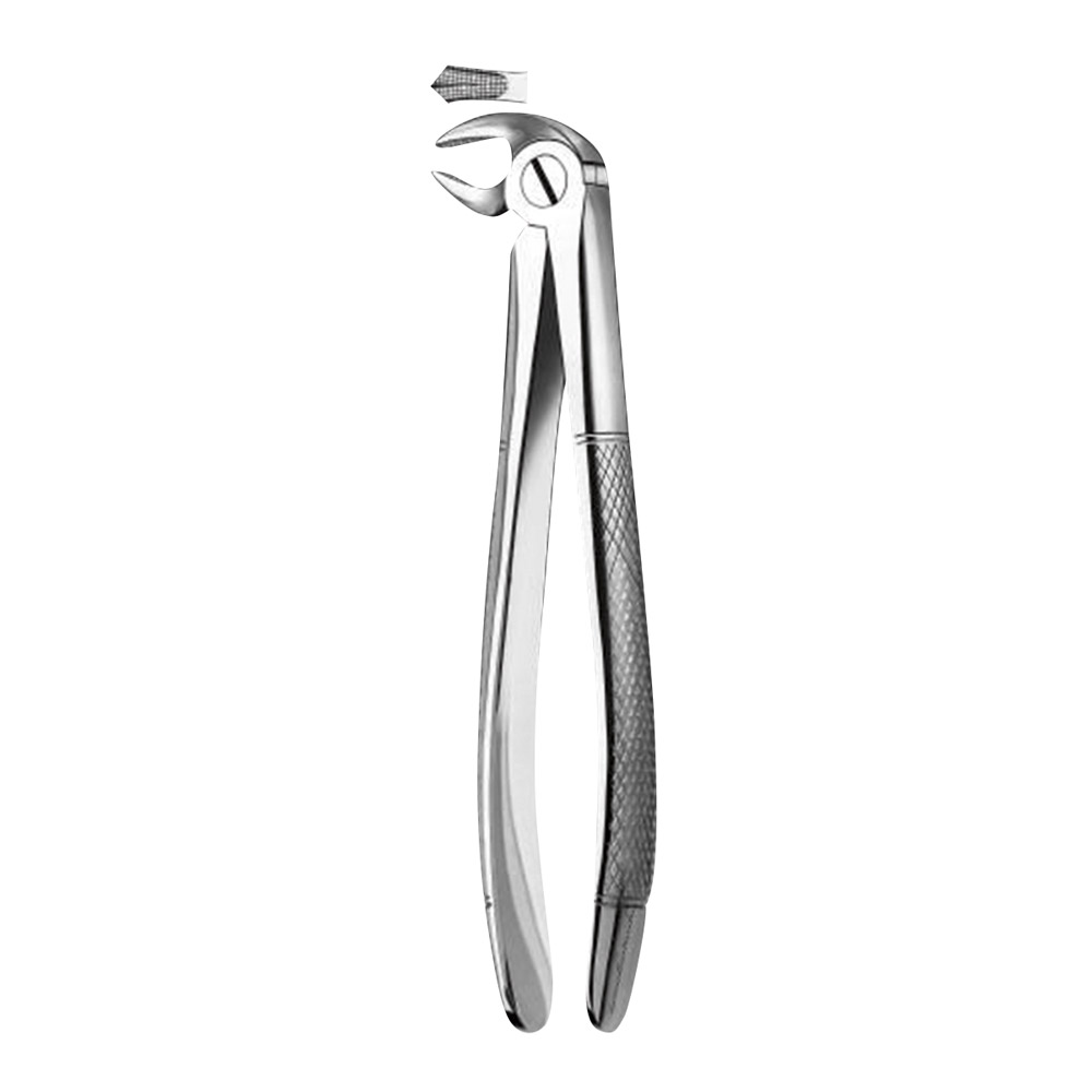 Tandtang Figuur 22 UK Molaar rechts + links, stuk