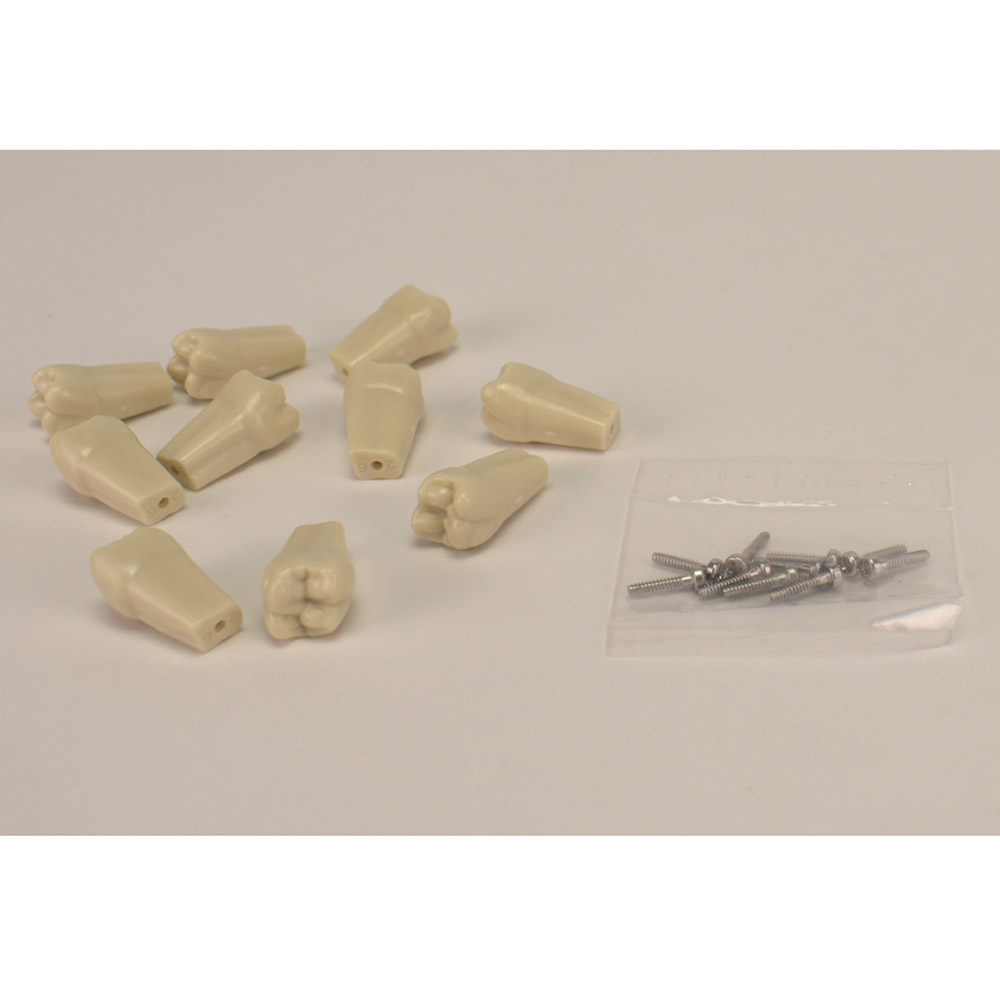 Modeltand schroefbaar ANA-4 26, 10 stuks