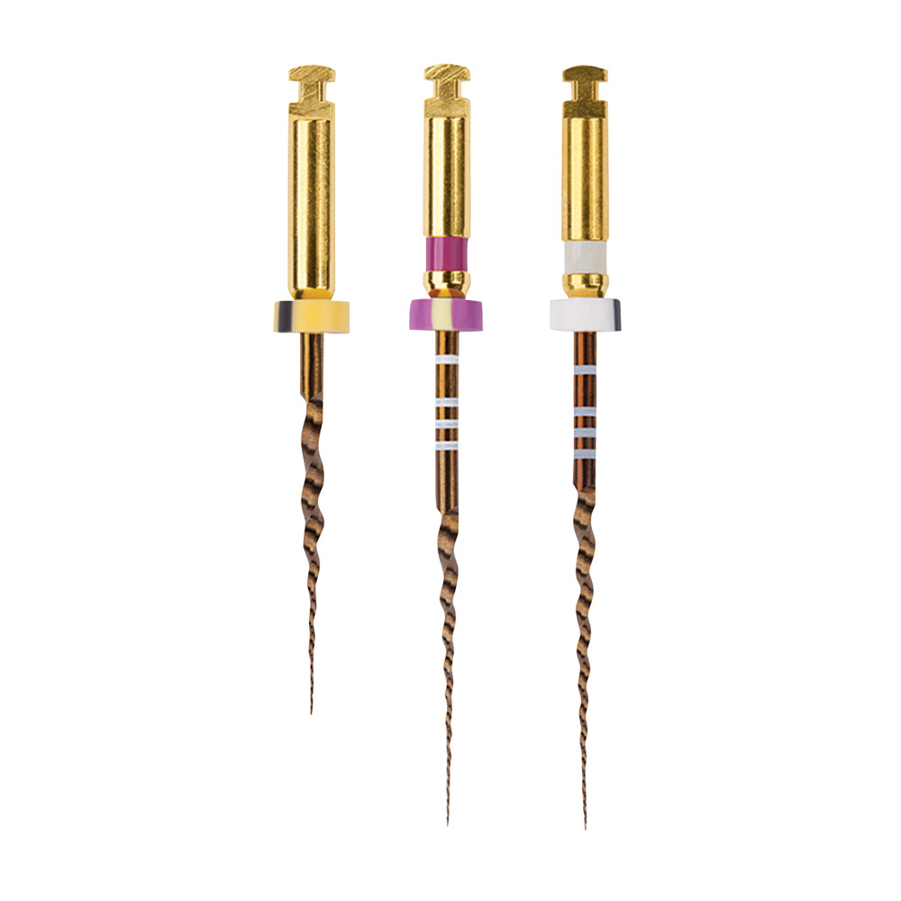 Protaper Gold S2 25 mm, 6 stuk