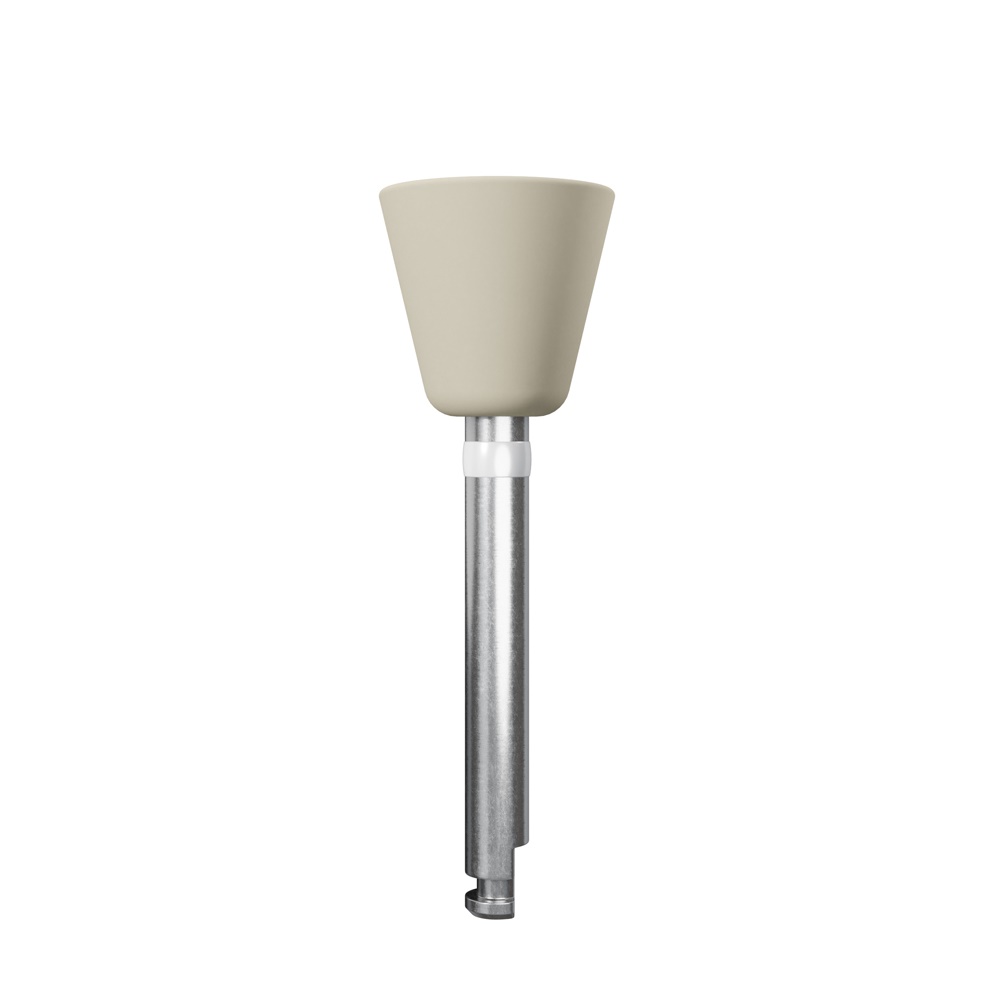 Kenda Maximus polijstkop beige grote kelk, 12 stuks