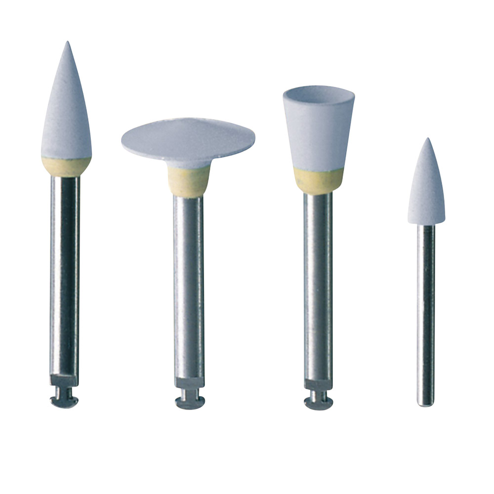 EVE Diacomp Polijsters Wst DC1g, 10 stuks
