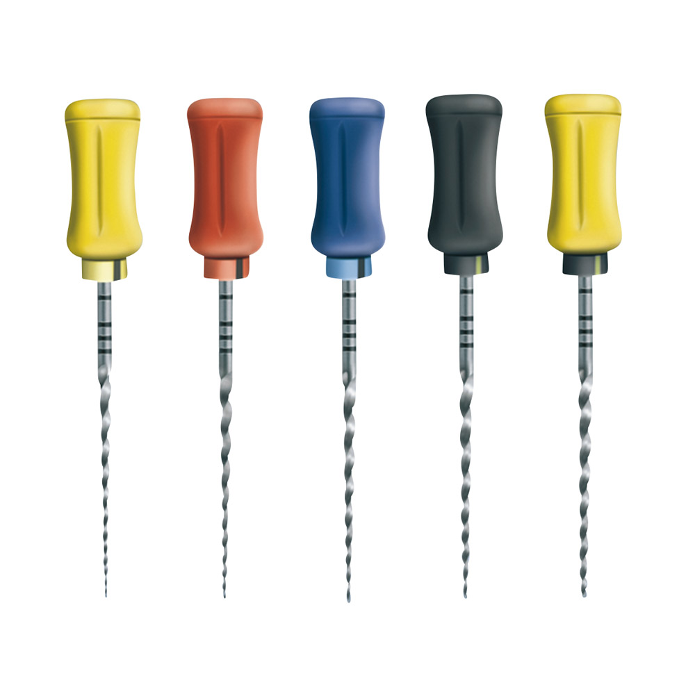 Protaper Hand Finishing 2 21 mm steriel, 6 stuks