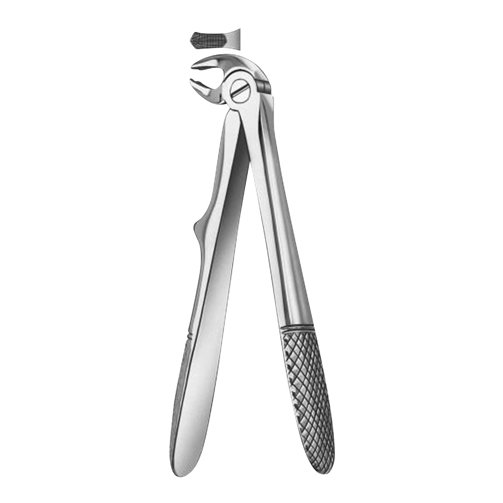 Tandtang figuur 280/6 UK molaar kind, stuk