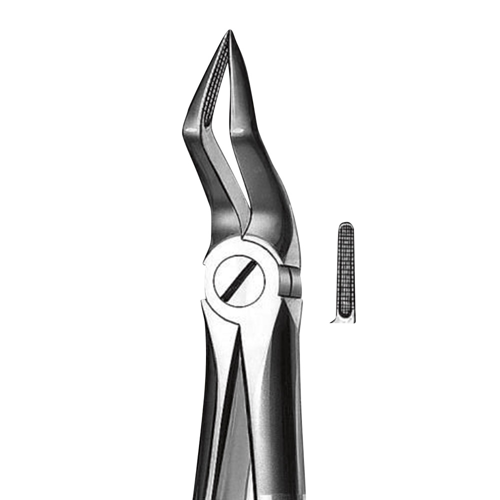Tandtang Büchs Model M2051A klein model BK Wortel, stuk