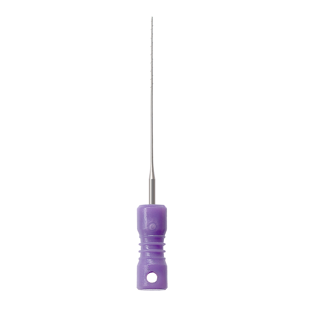 Zenuwnaald met Heft, 6 stuks