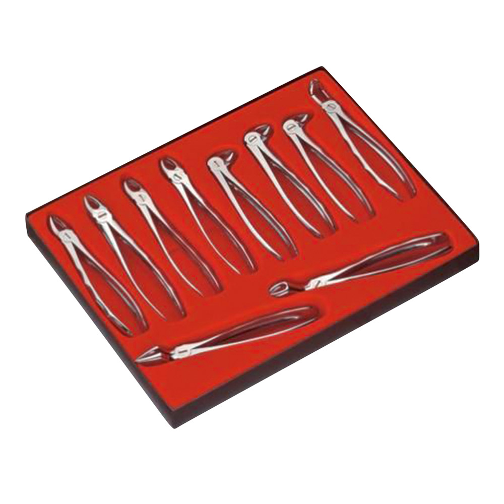 Zahnzangen Liquid Steel Model LS100, Set 10 stuks