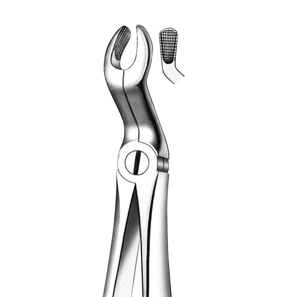 Tandtang Büchs Figur M2067A klein model OK + UK verstandskies, stuk
