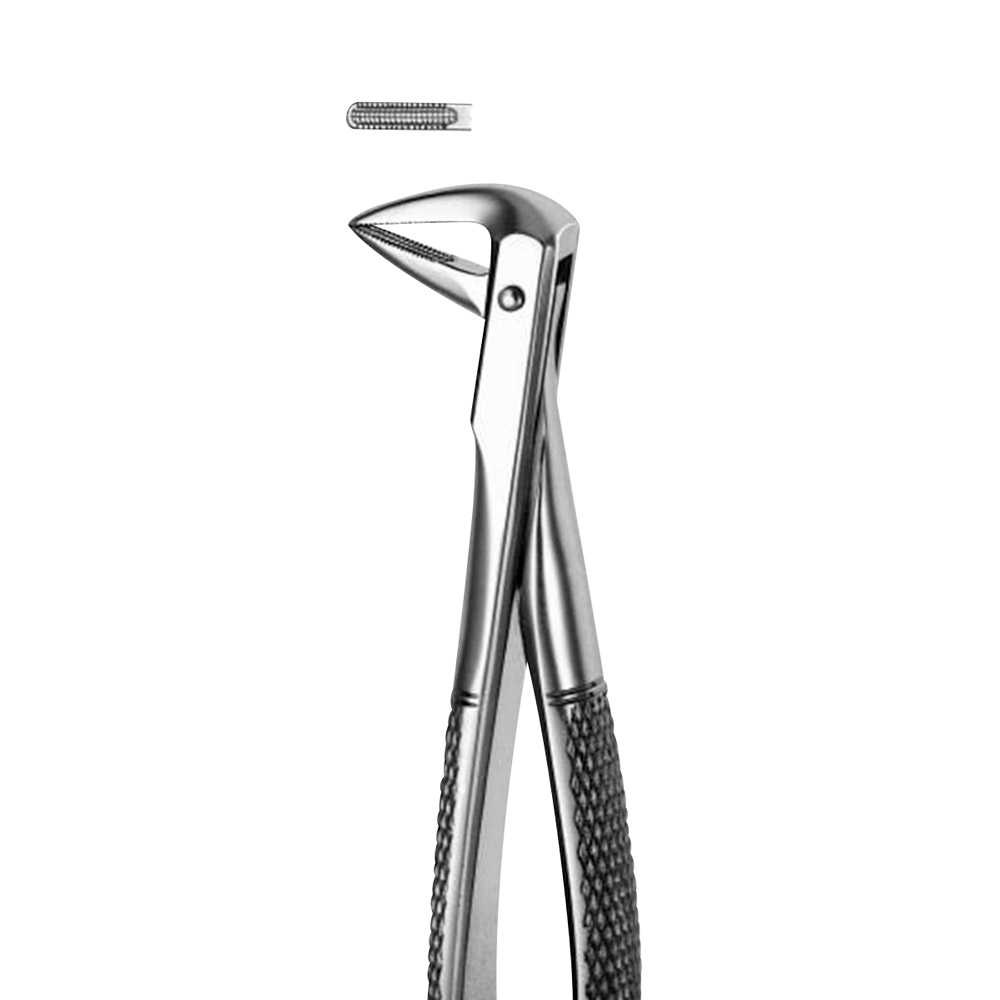Tandtang Figuur M74 klein Model OK Wortel, stuk