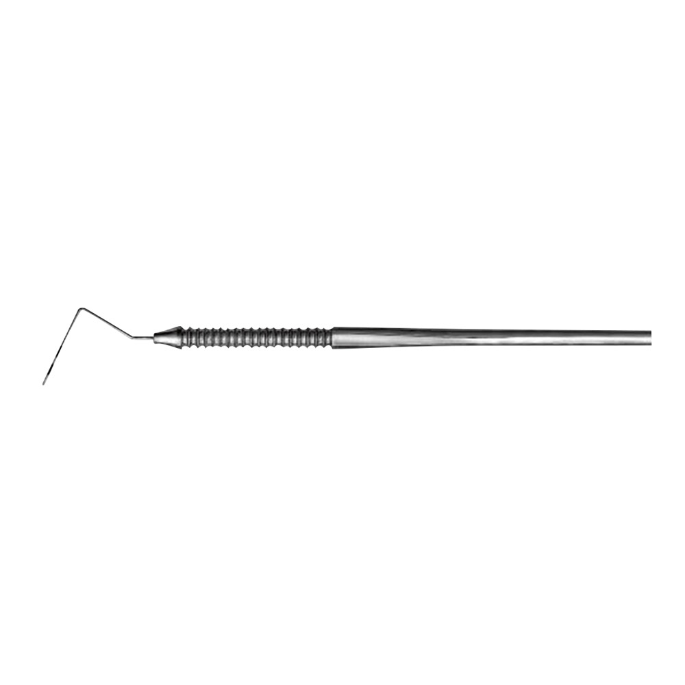 Paro sonde 973 cp11 st