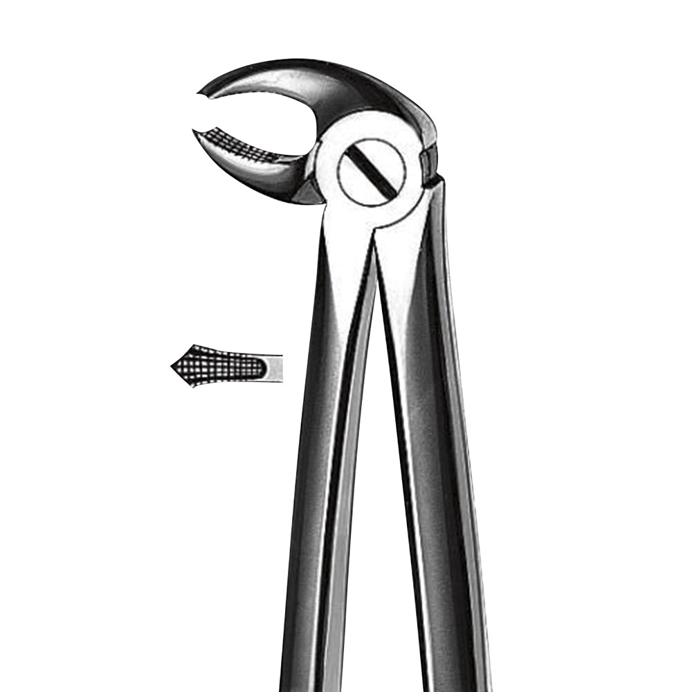 Tandtang Büchs Figur M2022 klein model UK molaar, stuk