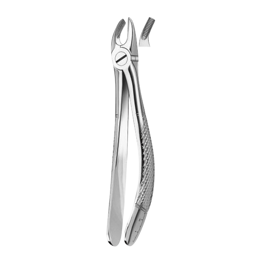 Tandtang figuur 39 OK molaar rechts + links kind, stuk