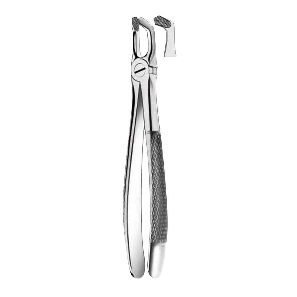Tandtang Büchs Model M2079 klein model BK + OK Wijsheidstand, stuk