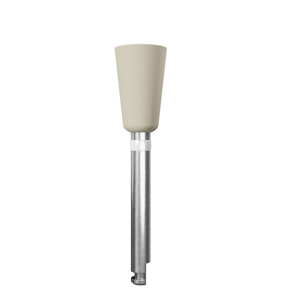Kenda Maximus polijstkop Wst beige, middelgrote kelk, 25 stuks