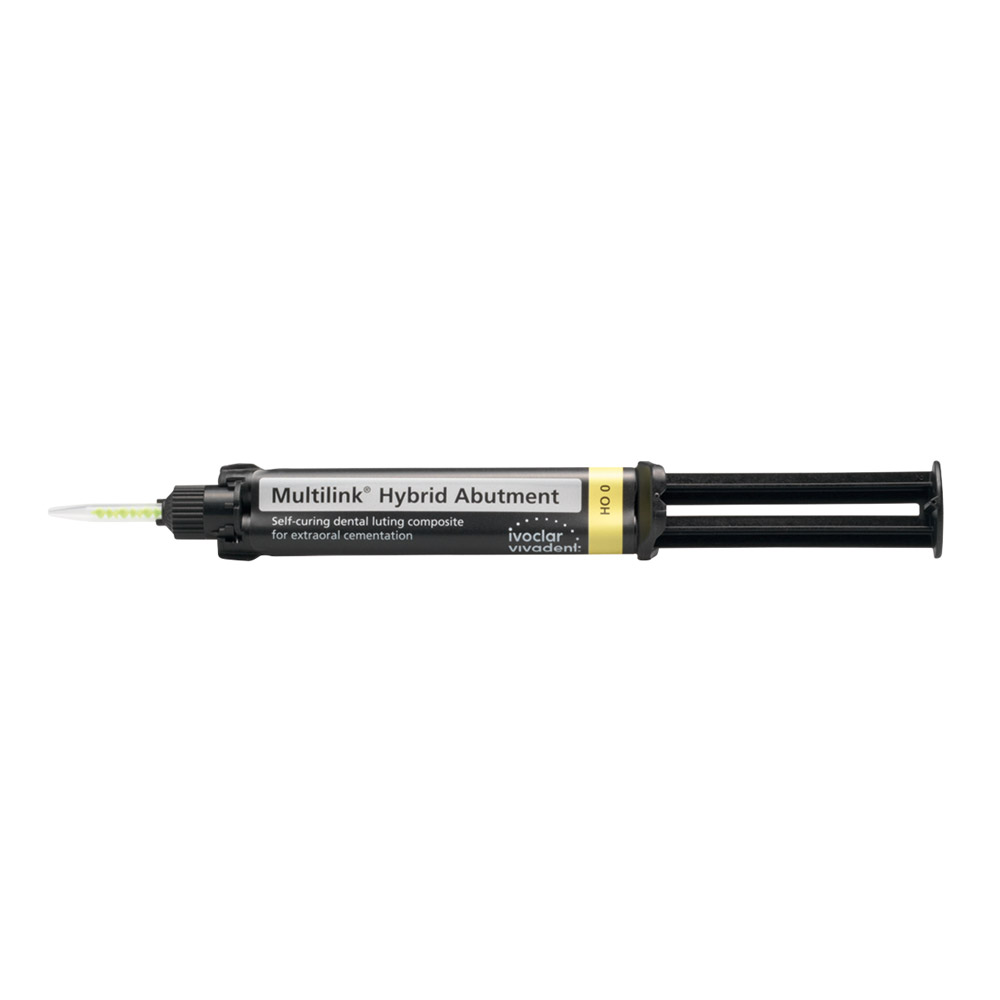 Multilink hybride abutment ho0
