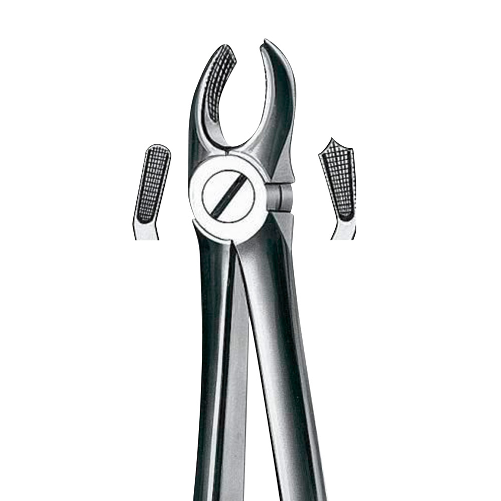 Zahnzange Model 17 BK Molaar rechts , stuk