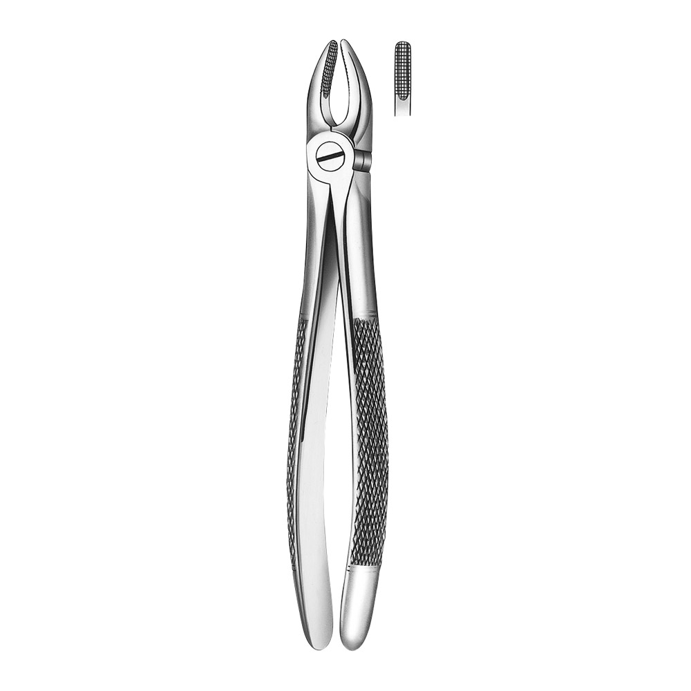 Tang Figuur E1 voortand + hoektand. P.st